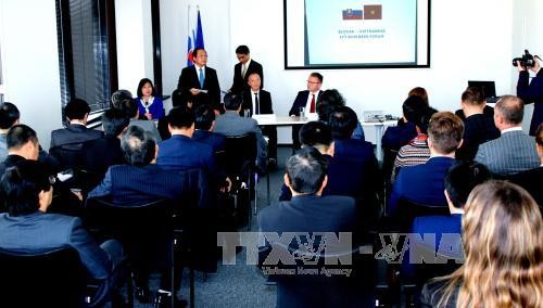 Vietnam, Slovakia enhance ICT cooperation - ảnh 1